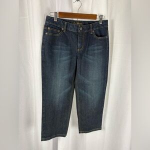 Ann Taylor Lindsay Waist Modern‎ Fit Capri Jeans Embroidered size 4 EUC